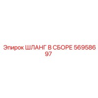 56958697 ШЛАНГ В СБОРЕ Epiroc