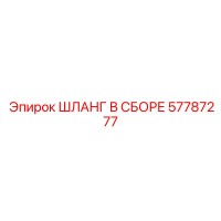 57787277 ШЛАНГ В СБОРЕ Epiroc