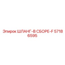 57186595 ШЛАНГ-В СБОРЕ-F Epiroc
