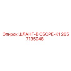Шланг-в сборе-K1 для агрессивных сред 2657135048