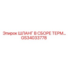 GS34033778 ШЛАНГ В СБОРЕ ТЕРМ… Эпирок