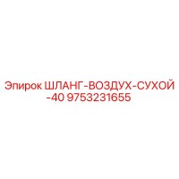 9753231655 ШЛАНГ-ВОЗДУХ-СУХОЙ-40 Epiroc