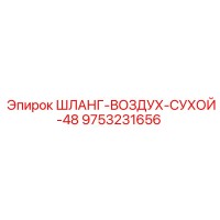 9753231656 ШЛАНГ-ВОЗДУХ-СУХОЙ-48 Epiroc