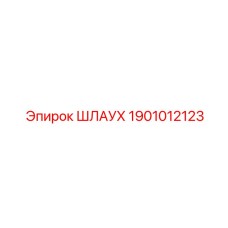 1901012123 ШЛАУХ Эпирок