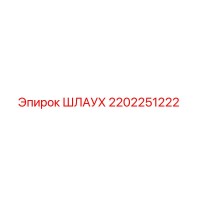 2202251222 ШЛАУХ Epiroc