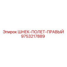 9753217889 ШНЕК-ПОЛЕТ-ПРАВЫЙ - Epiroc