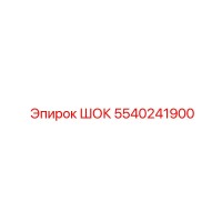 5540241900 Шок Epiroc