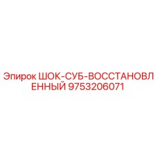 9753206071 ШОК-СУБ-ВОССТАНОВЛЕННЫЙ Epiroc