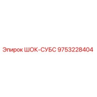 9753228404 ШОК-СУБС Epiroc