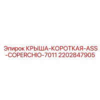 2202847905 КРЫША-КОРОТКАЯ-ASS-COPERCHIO-7011 Epiroc