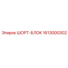 1613000302 ШОРТ-БЛОК Epiroc