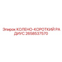 2658537570 КОЛЕНО-КОРОТКИЙ РАДИУС Epiroc