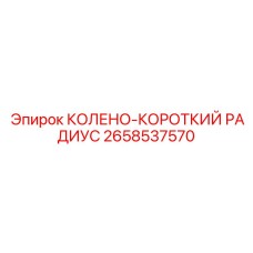 2658537570 КОЛЕНО-КОРОТКИЙ РАДИУС Epiroc