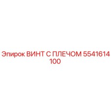 5541614100 ВИНТ С ПЛЕЧОМ (Epiroc)