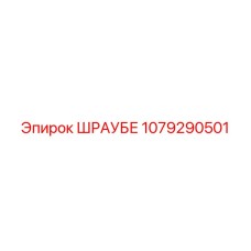 1079290501 ШРАУБЕ Epiroc