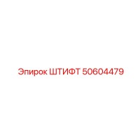 50604479 ШТИФТ Epiroc