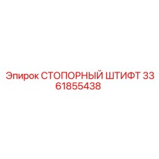 3361855438 СТОПОРНЫЙ ШТИФТ Эпирок