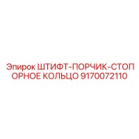 9170072110 ШТИФТ-ПОРЧИК-СТОПОРНОЕ КОЛЬЦО Epiroc