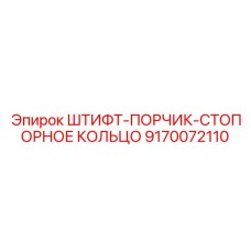 9170072110 ШТИФТ-ПОРЧИК-СТОПОРНОЕ КОЛЬЦО Epiroc