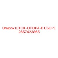 2657423865 ШТОК-ОПОРА-В СБОРЕ (Epiroc)