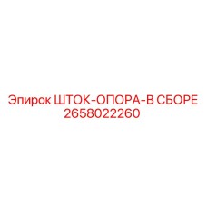 2658022260 ШТОК-ОПОРА-В СБОРЕ Epiroc