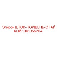1901055264 ШТОК-ПОРШЕНЬ-С ГАЙКОЙ Epiroc