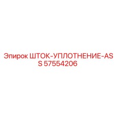 57554206 ШТОК-УПЛОТНЕНИЕ-ASS Epiroc