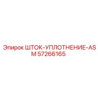 57266165 ШТОК-УПЛОТНЕНИЕ-ASM Epiroc