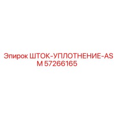 Многослойные уплотнения штока ASM 57266165 в разобранном виде