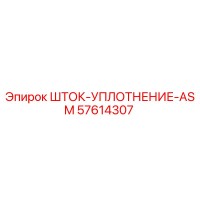 57614307 ШТОК-УПЛОТНЕНИЕ-ASM Epiroc