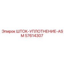 57614307 ШТОК-УПЛОТНЕНИЕ-ASM Epiroc