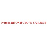 57242638 ШТОК В СБОРЕ Epiroc