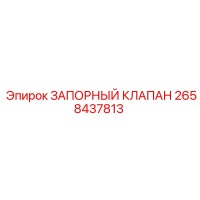 2658437813 ЗАПОРНЫЙ КЛАПАН Epiroc