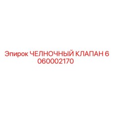 6060002170 ЧЕЛНОЧНЫЙ КЛАПАН Epiroc