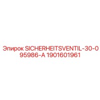 1901601961 SICHERHEITSVENTIL-30-095986-A Epiroc