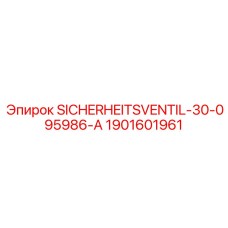 1901601961 SICHERHEITSVENTIL-30-095986-A Epiroc