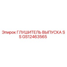 Глушитель выпуска SS GS12463565 Epiroc
