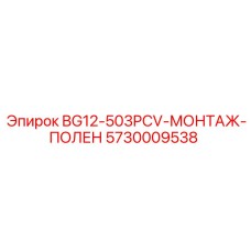 5730009538 BG12-503PCV-МОНТАЖ-ПОЛЕН Epiroc
