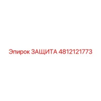 4812121773 ЗАЩИТА Epiroc