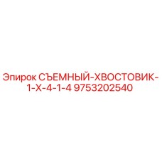 9753202540 СЪЕМНЫЙ ХВОСТОВИК 1 X 4 1/4 Epiroc