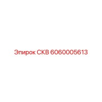 6060005613 СКВ Epiroc