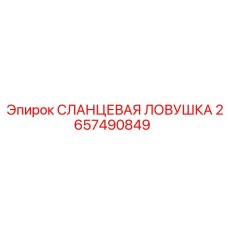 2657490849 СЛАНЦЕВАЯ ЛОВУШКА Epiroc