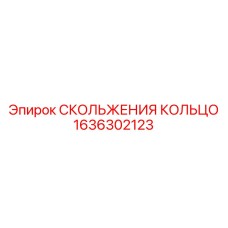 1636302123 СКОЛЬЖЕНИЯ КОЛЬЦО Epiroc