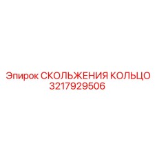 3217929506 СКОЛЬЖЕНИЯ КОЛЬЦО Epiroc