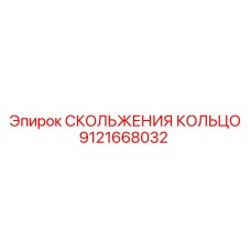 9121668032 СКОЛЬЖЕНИЯ КОЛЬЦО Epiroc
