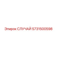 5731500598 СЛУЧАЙ Epiroc