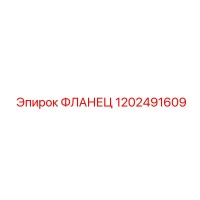 1202491609 ФЛАНЕЦ Epiroc