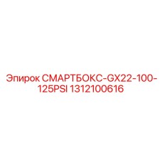 1312100616 СМАРТБОКС-GX22-100-125PSI Epiroc
