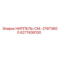6271938100 НИППЕЛЬ-СМ.-21973600 Epiroc