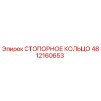 4812160653 СТОПОРНОЕ КОЛЬЦО Epiroc